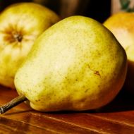 Саджанець Груша Золотиста в контейнері